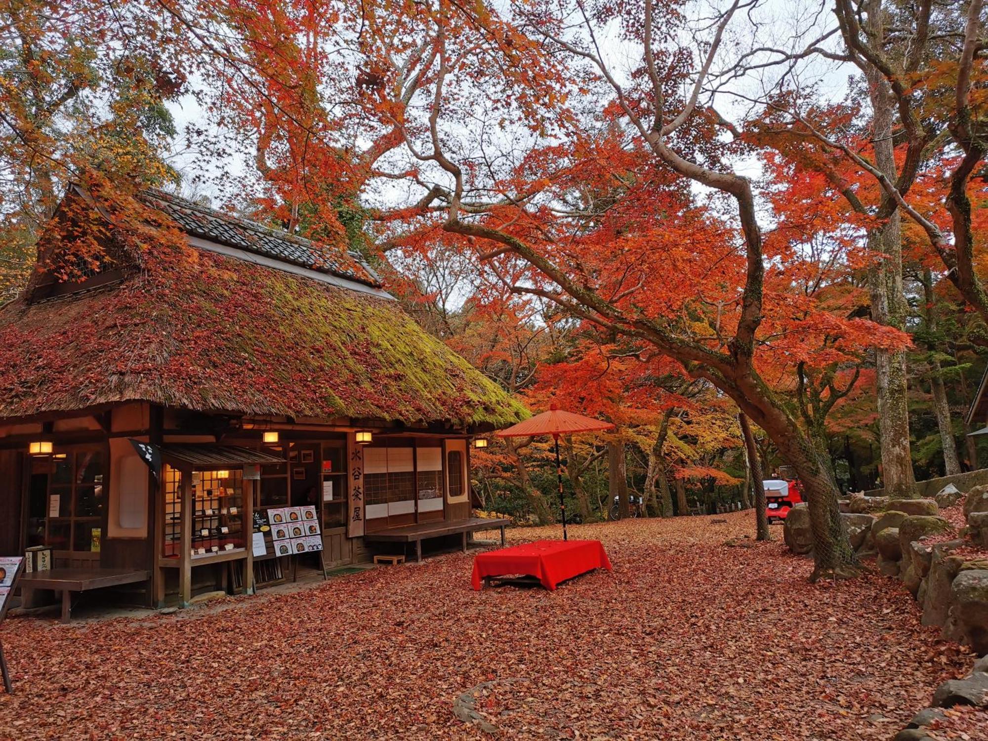 Family Inn Nara Exterior photo